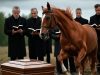 During the funeral, a horse appeared from the woods and ran straight to the coffin: those present were sh0cked to learn why the animal did so.