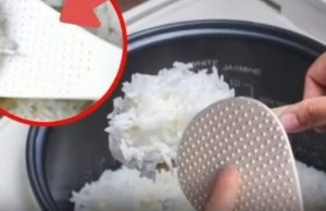 The Difference Between a Smooth Rice Scoop and a Dotted One