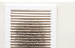 These ideas are brilliant