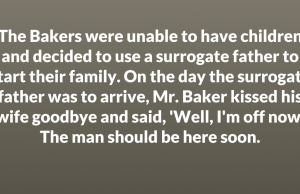 The Bakers were unable to have children and decided to use a surrogate father to start their family