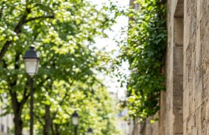 “I took in a homeless mother simply because she bore a striking resemblance to my late daughter. But when I walked into her room the next morning, what I found left me absolutely frozen in terror.”