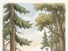 The Tiny Mountain Estate